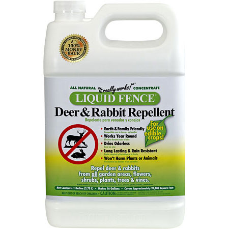 deer-rabbit-repellent.jpg
