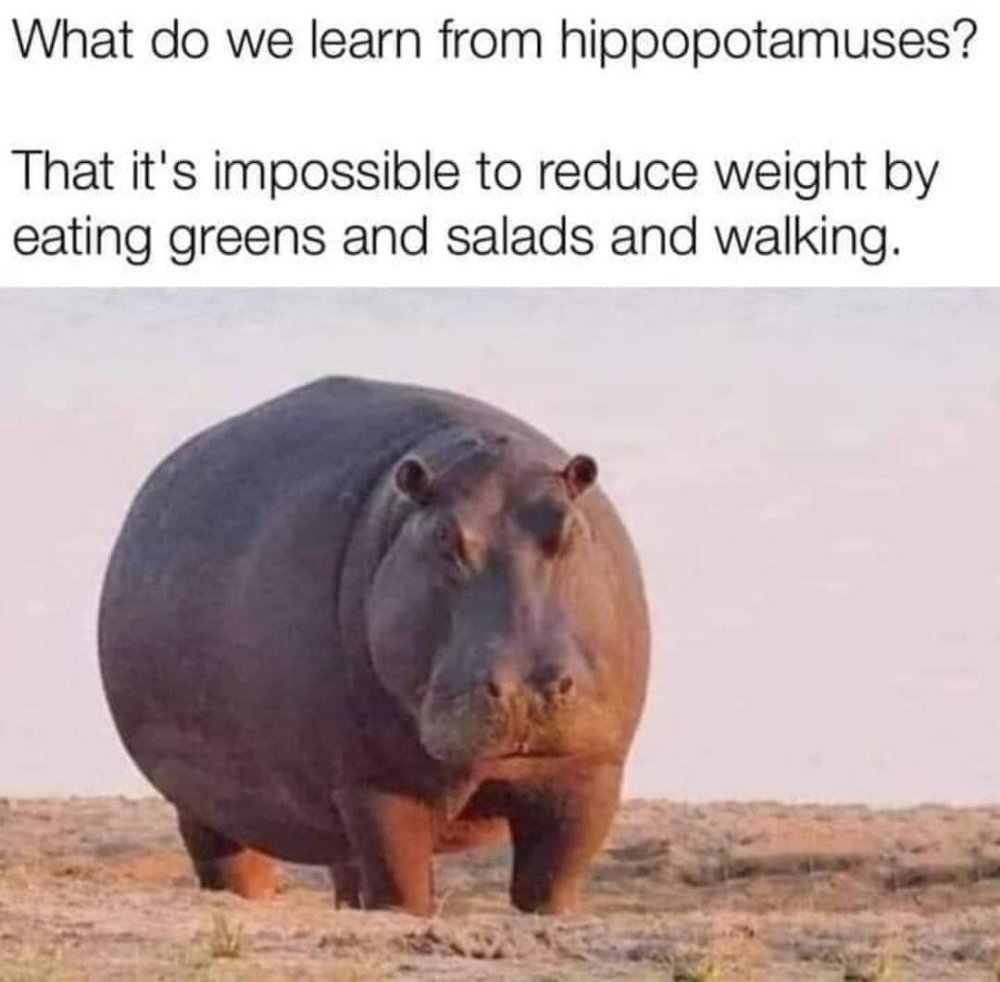 diet-20549906876_n.jpg