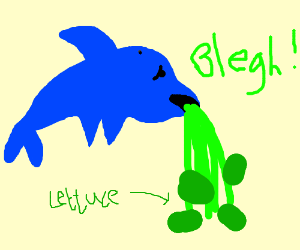 dolphin_lettuce.png