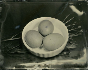 eggses.jpg