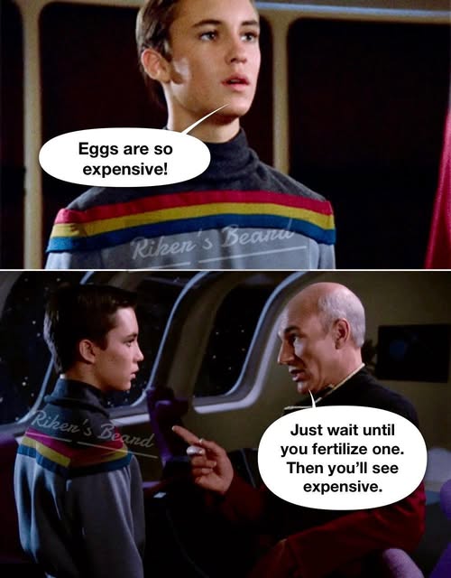 eggspensive.jpg