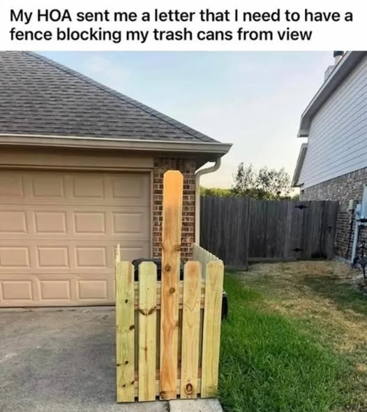 fence.jpg