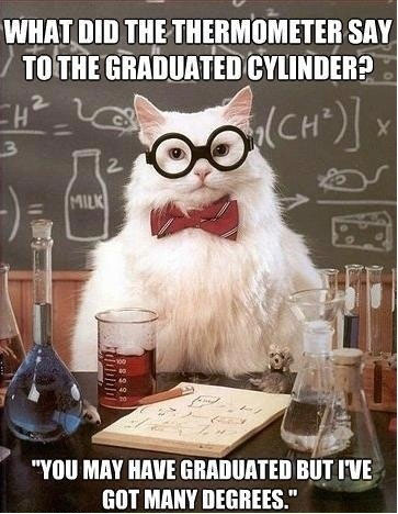 funny-cat-chemistry-laboratory-glasses.jpg