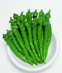 fushimi pepper.jpg