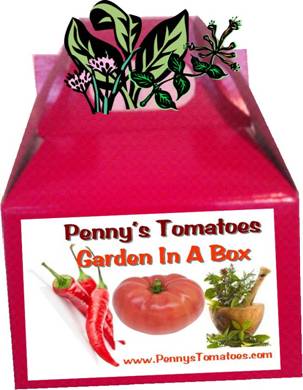 garden in a box red.jpg