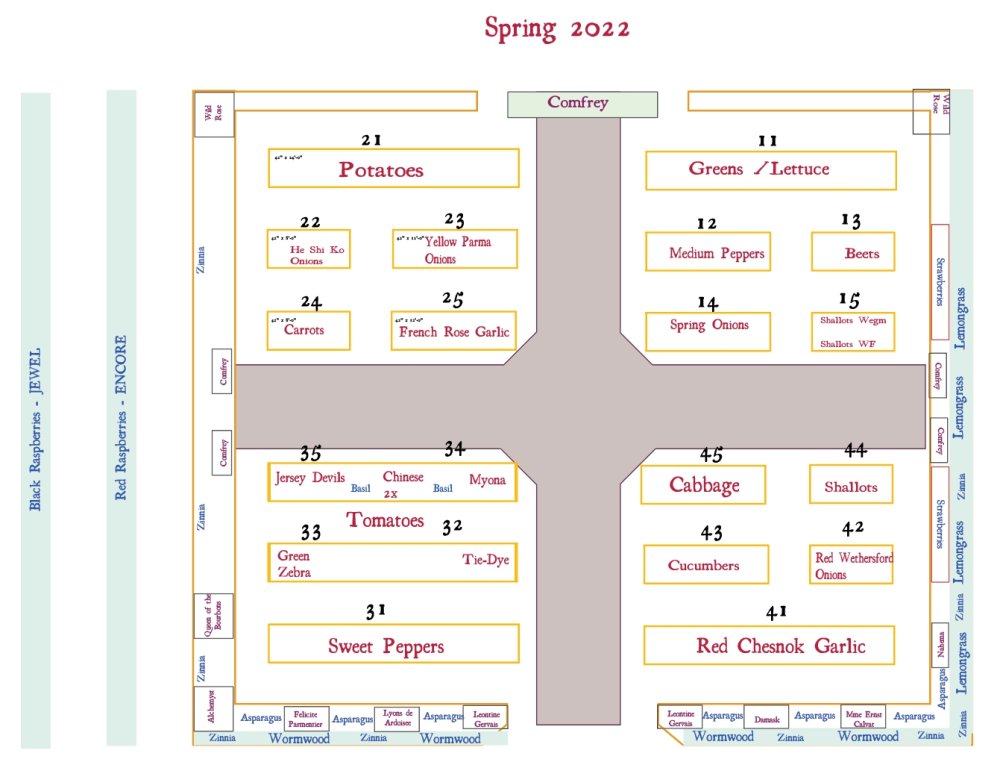 Garden2021drawing.jpg