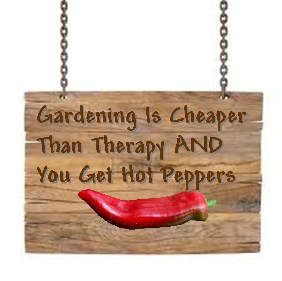 gardening for therapy HOTS TM piC.jpg