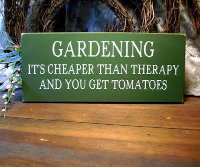 gardening tomatoes.jpg