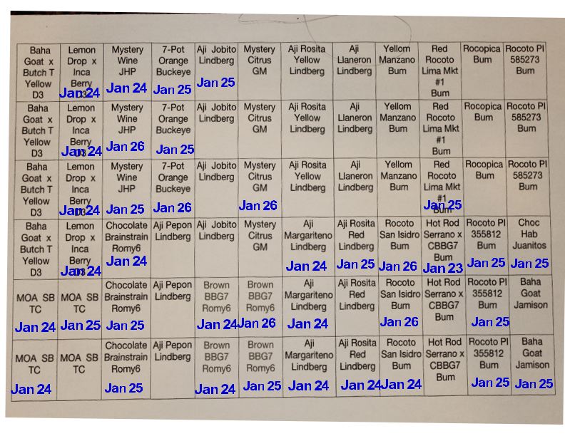 germchart.jpg