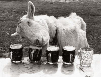 goat_beer.jpg