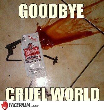 goodbye-cruel-world-21779_w.jpg