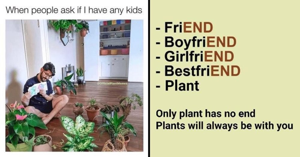 green-friend-boyfriend-girlfriend-bestfriend-plant-only-plant-has-no-end-plants-will-always-be...jpg