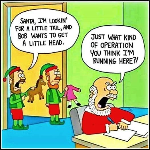 humor - xmas 49 fb.jpg