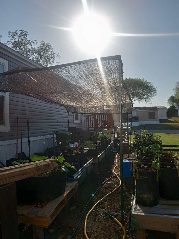 IMG_20250324_174621403_HDR (1).jpg