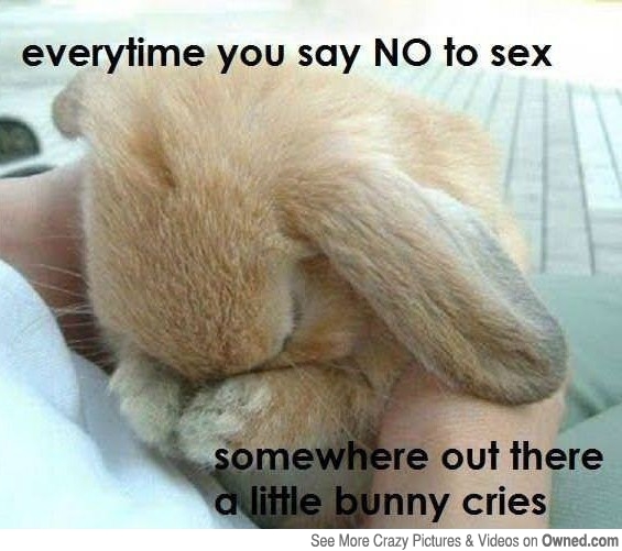ladies_just_say_yes_save_a_bunny_big.jpg