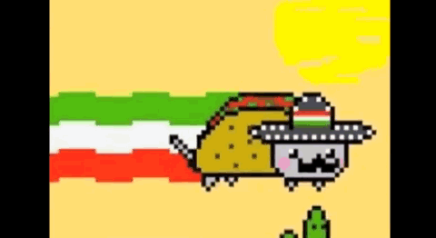 mexicancat.gif