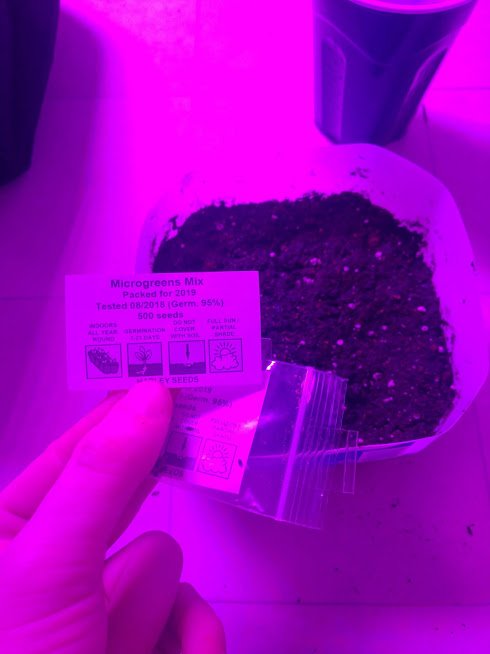 Microgreens1start.jpg