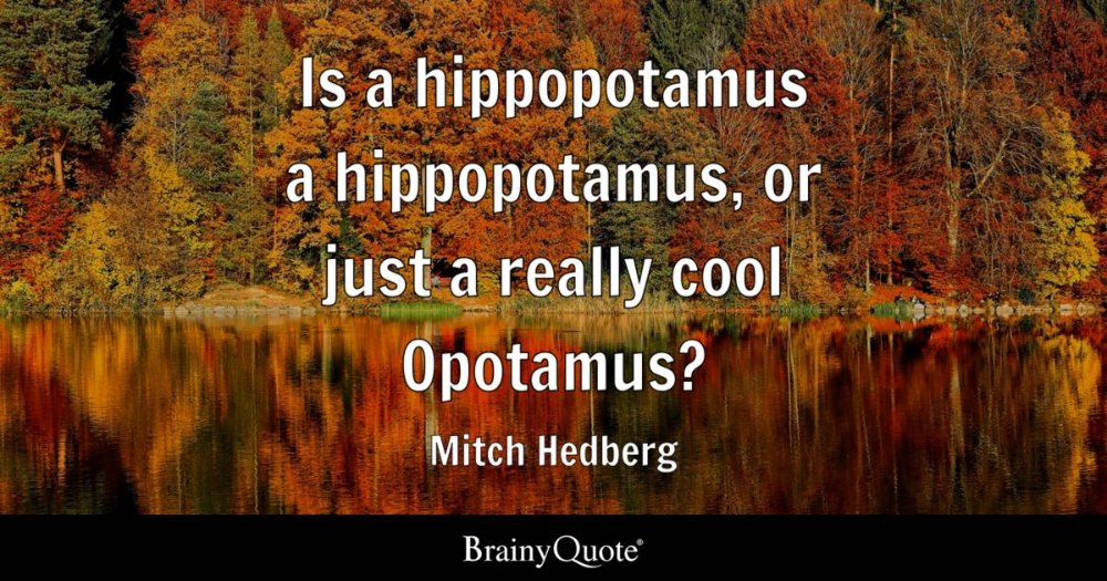 mitchhedberg1-2x.jpg