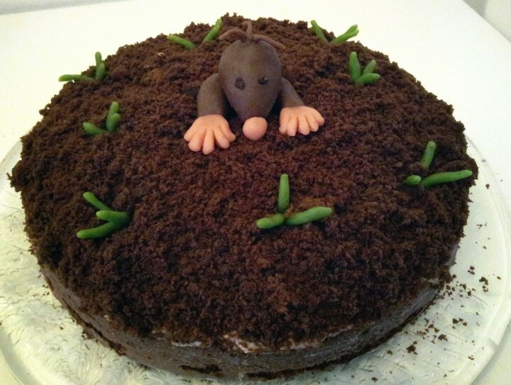 mole_cake.jpg