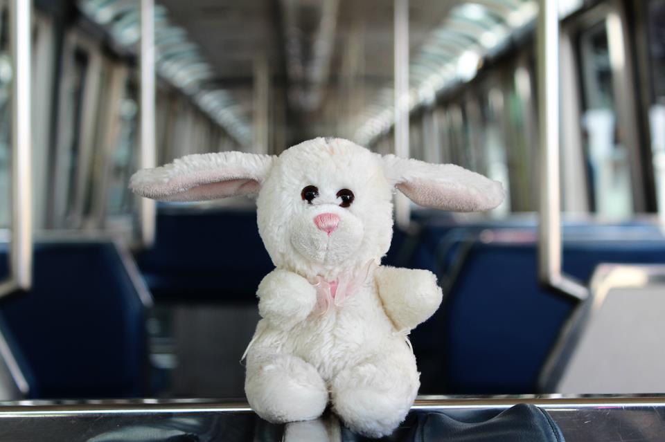 monorail bunny.jpg