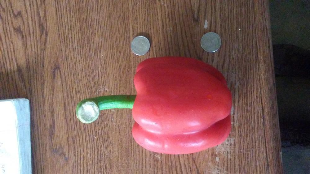monster bell pepper.jpg