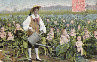 Mythology - Portrait - Babies in the cabbage patch.jpg