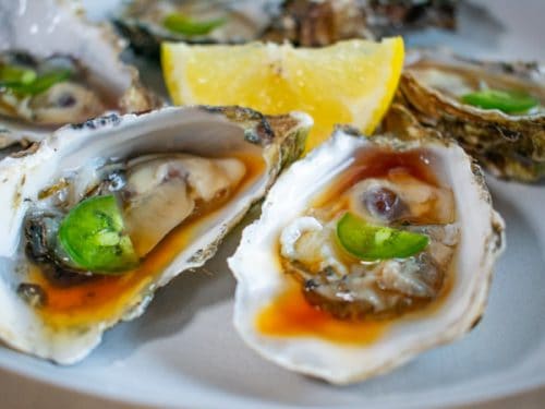 oysters-4-1-of-1-500x375.jpg