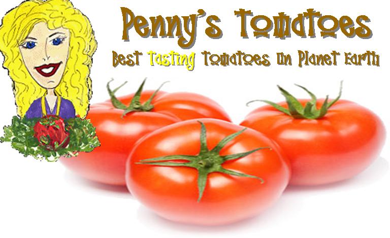 pennys logo.jpg