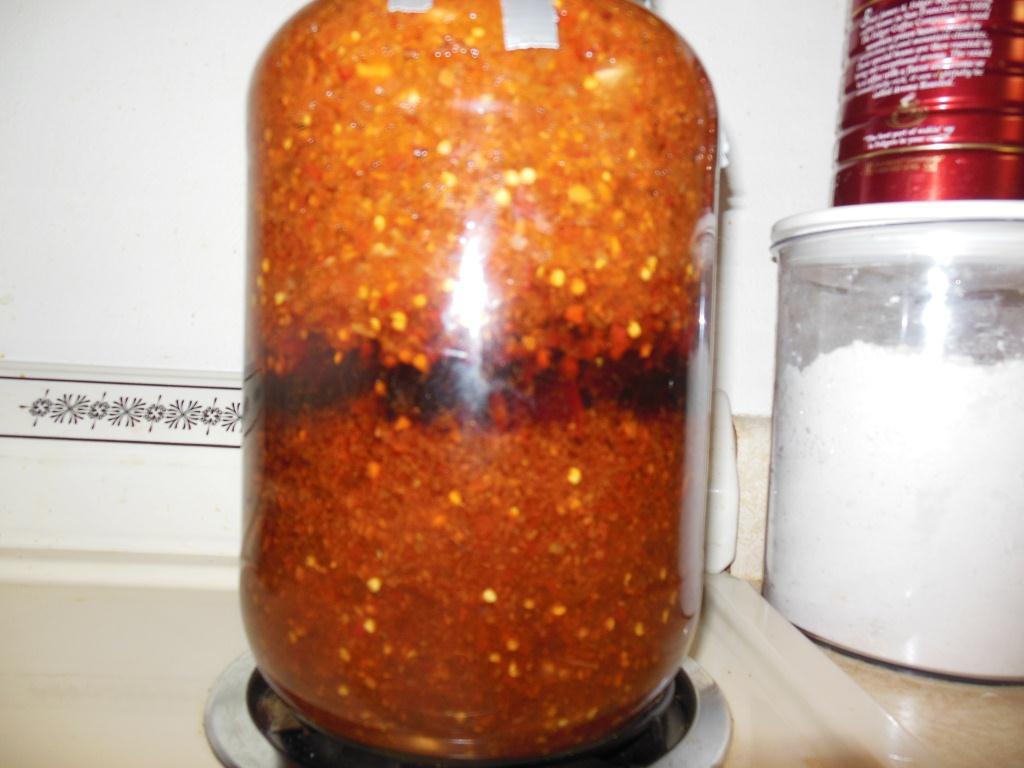 pepper ferment 001.jpg