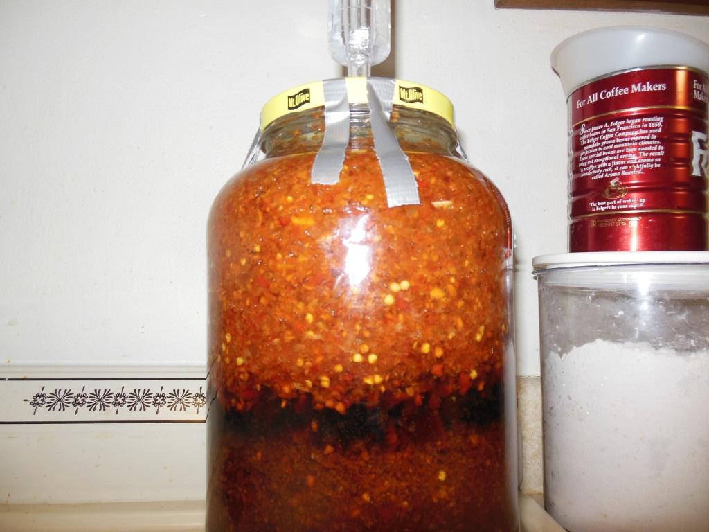 pepper ferment 002.jpg