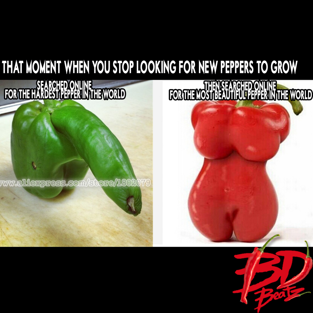 pepper-meme-BD.png