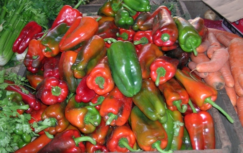peppers_costarica_500_400.JPG