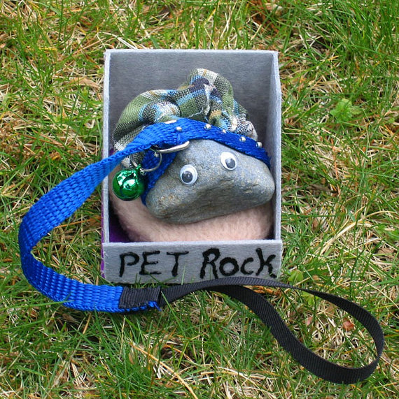 pet_rock.jpg