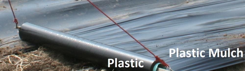 plastic mulch3.jpg