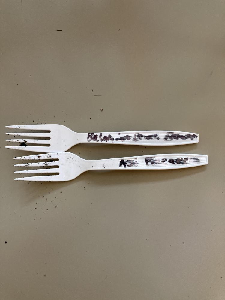 sharpie fork.jpg