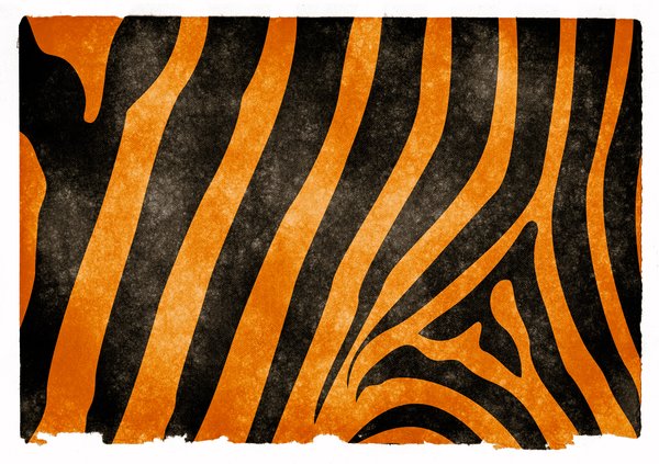 tiger stripes.jpg