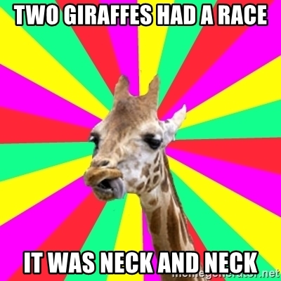 two-giraffes-had-a-race-it-was-neck-and-neck.jpg