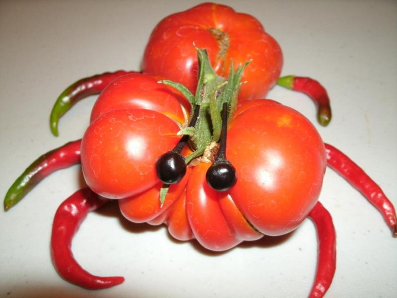 ugly tomato contest DragonPeppers from THP.jpg