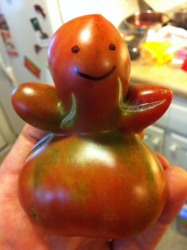 Ugly tomato contest FB Fan Ryan Wingfield.jpg
