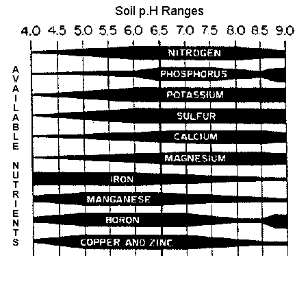 phchart1_large_bl_wh.gif