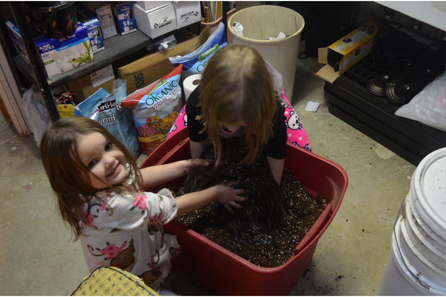 soilmix2.jpg