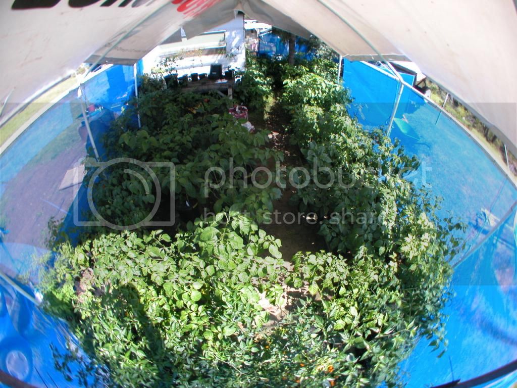 fisheye1_zps8db7d9a0.jpg