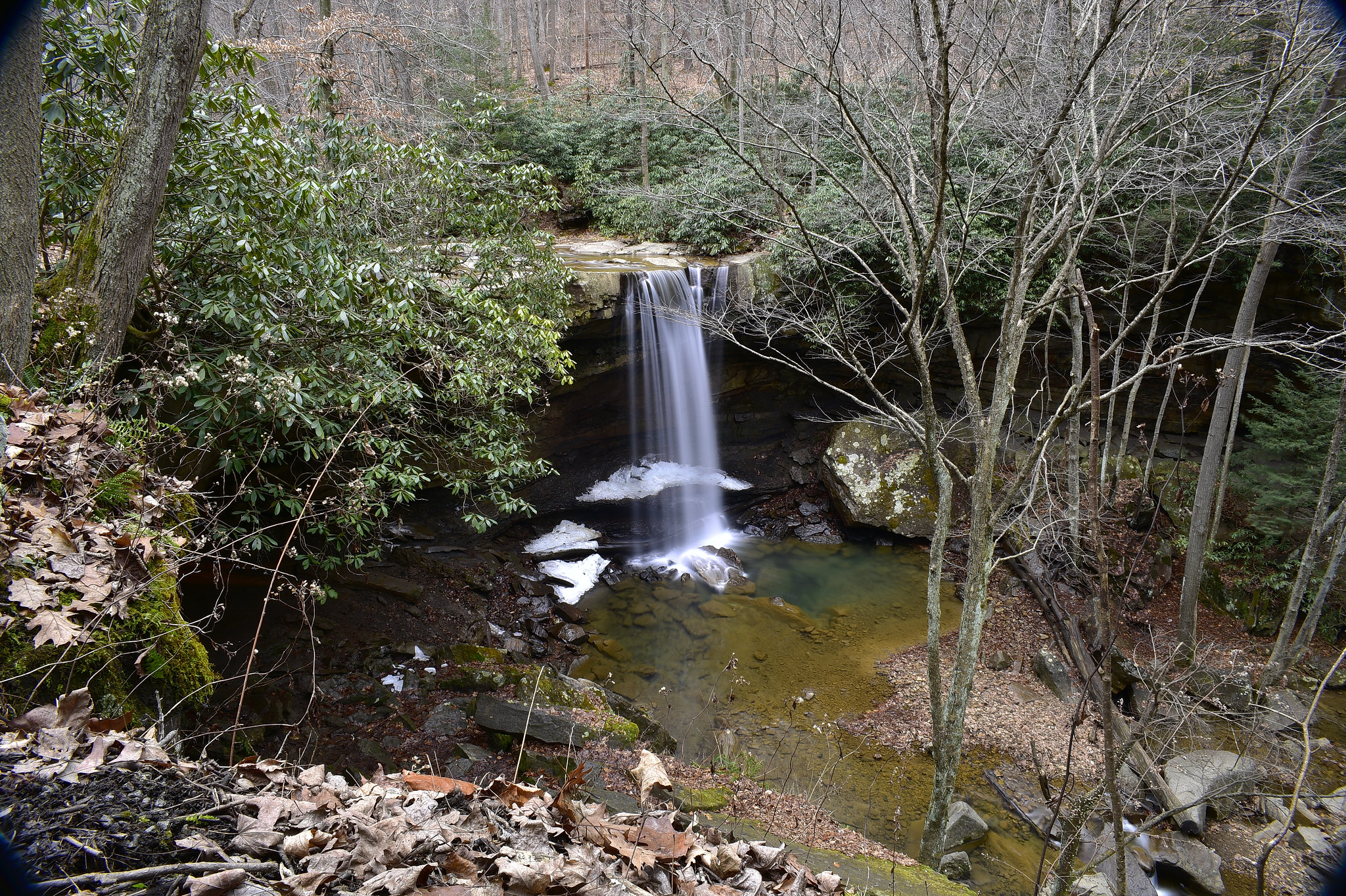 24381272157_9cf81e4a53_k.jpg