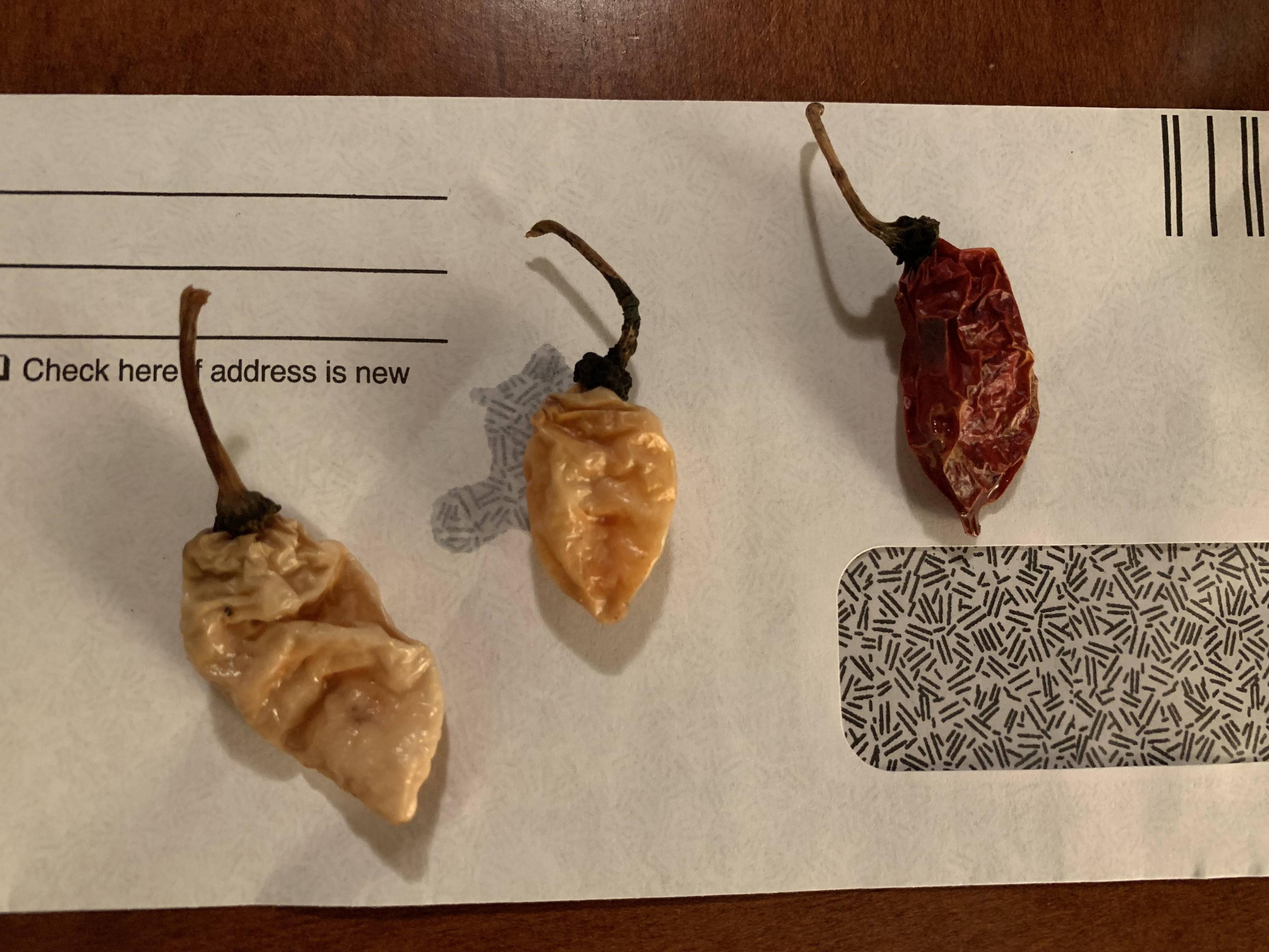 The Hopeful Fatalii Gourmet Jigsaw Project.