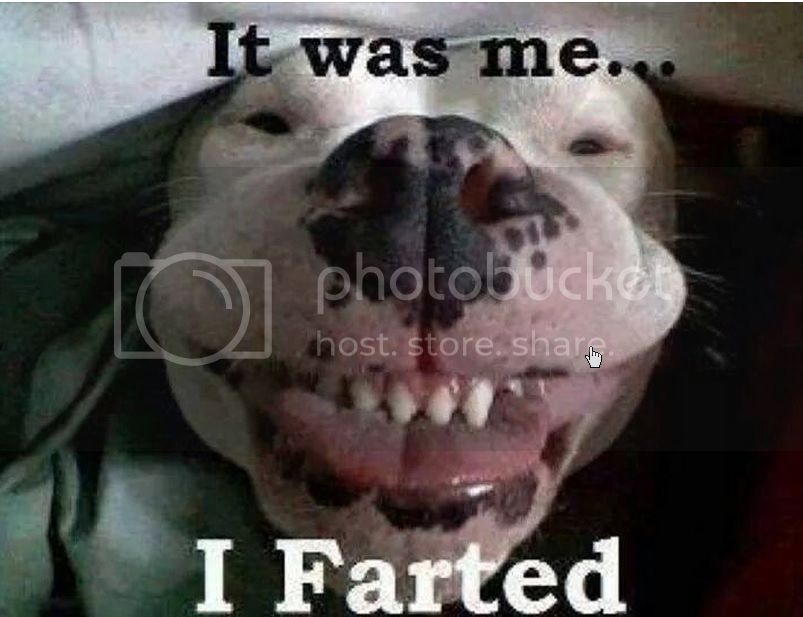 Ifarted_zps07fcb241.jpg