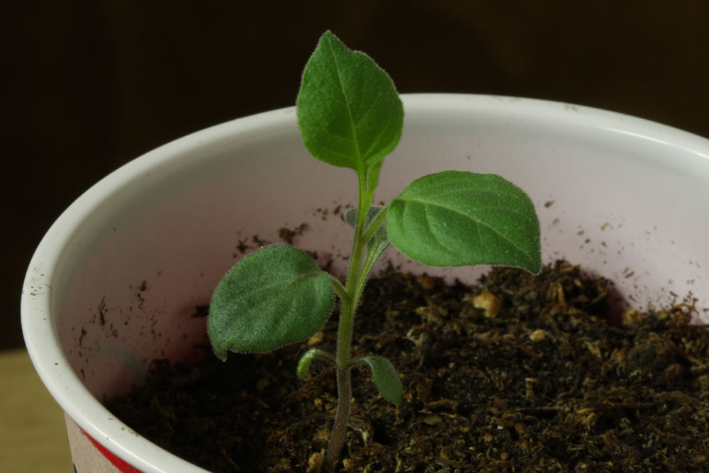 20190305%20CardCGN1-W.jpg