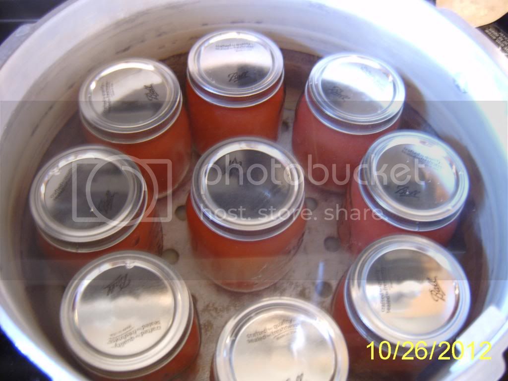 Applesauceincanner.jpg