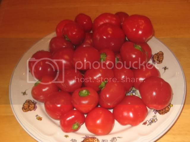 hotpeppers006.jpg