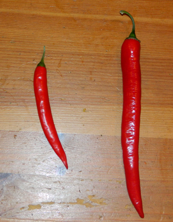 Large_Cayenne_Pepper.png