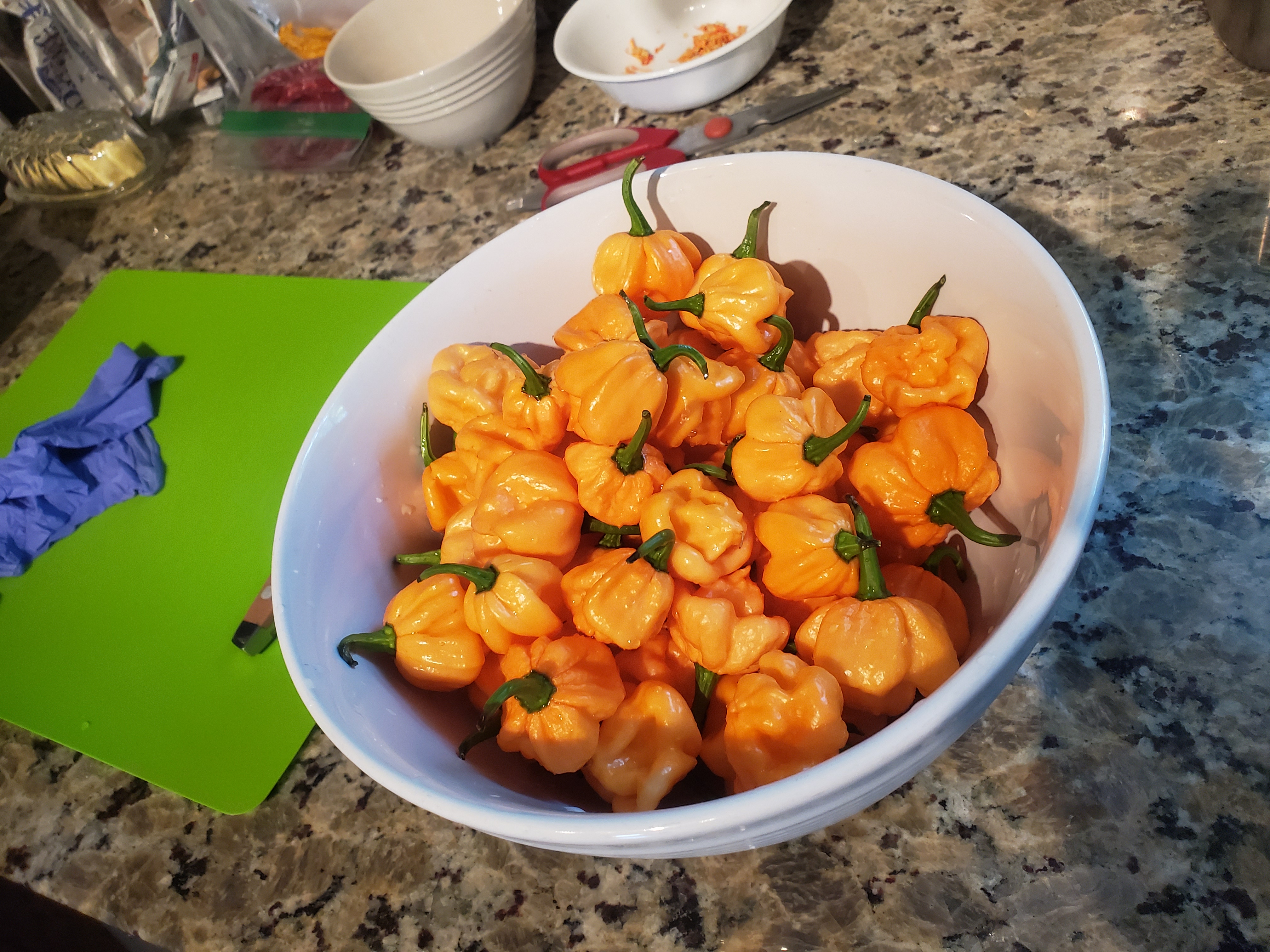 20190728-105054.jpg